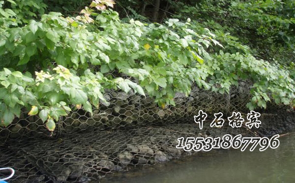 格賓網(wǎng)護(hù)岸 格賓網(wǎng)護(hù)岸