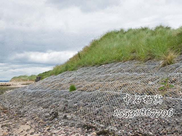 綠濱墊護(hù)坡 綠濱墊護(hù)坡