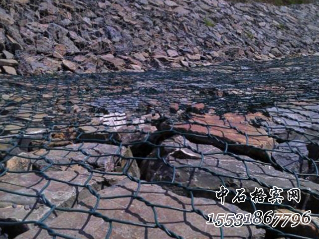 覆塑賓格網(wǎng).jpg 覆塑賓格網(wǎng).jpg