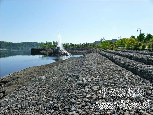 雷諾護墊 雷諾護墊