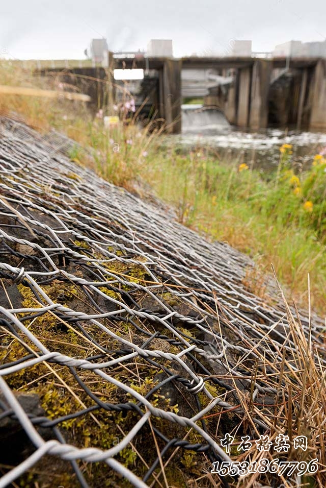 鍍高爾凡賓格籠 鍍高爾凡賓格籠