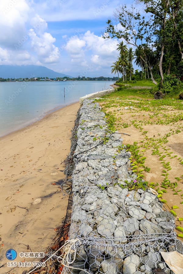 鍍高爾凡雷諾護墊 鍍高爾凡雷諾護墊